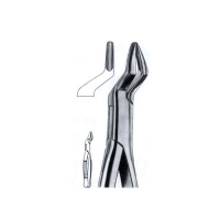  Extracting Forceps American Pattern